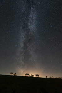 De schapen die bovenop de dijk grazen, steken af tegen het licht van een prachtige sterrenhemel met melkweg.